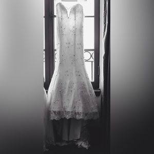 Romantic, timeless , mermaid shape lace wedding gown with cathedral veil.